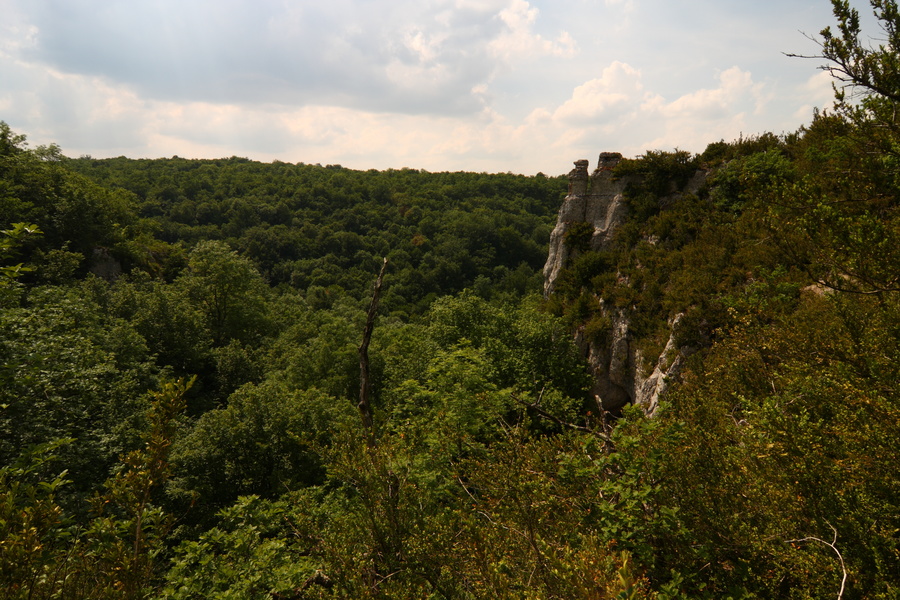 Combe de Vaux de Roche