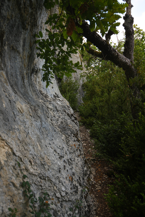 Chemin
