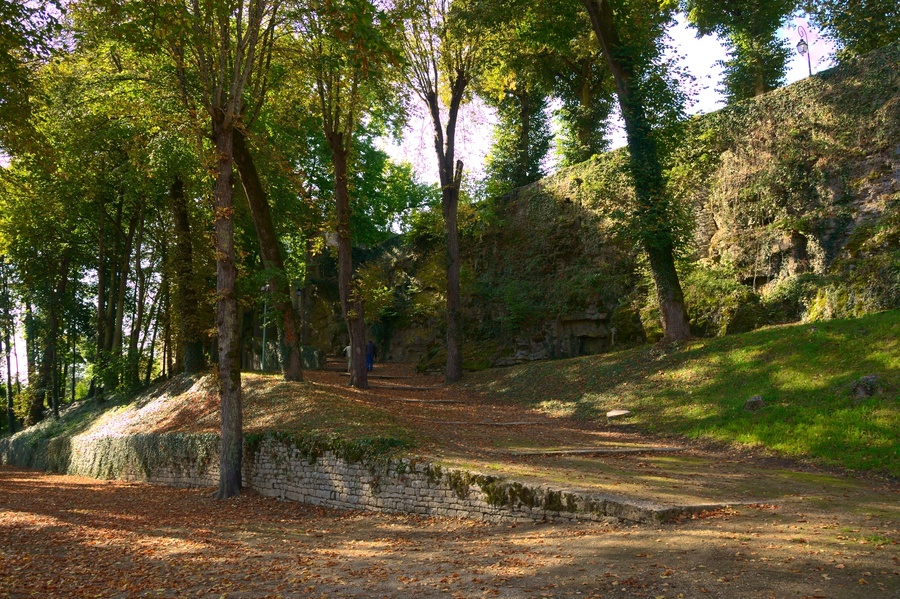 Parc Buffon