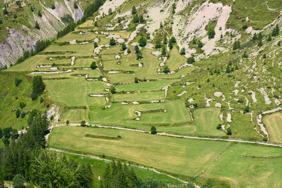 Prés