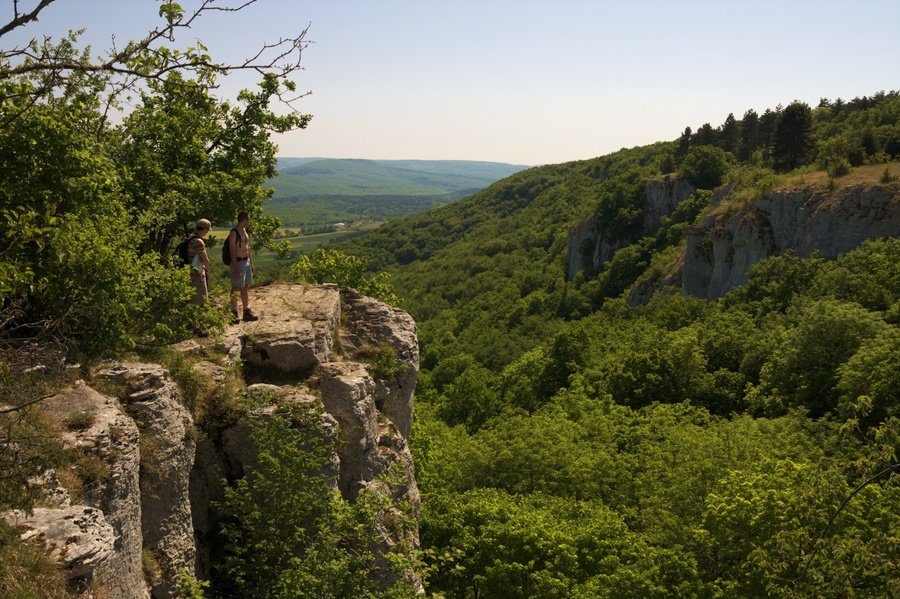 Combe d'Arvaux