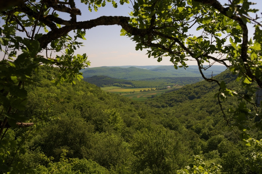 Vallée de l'Ouche