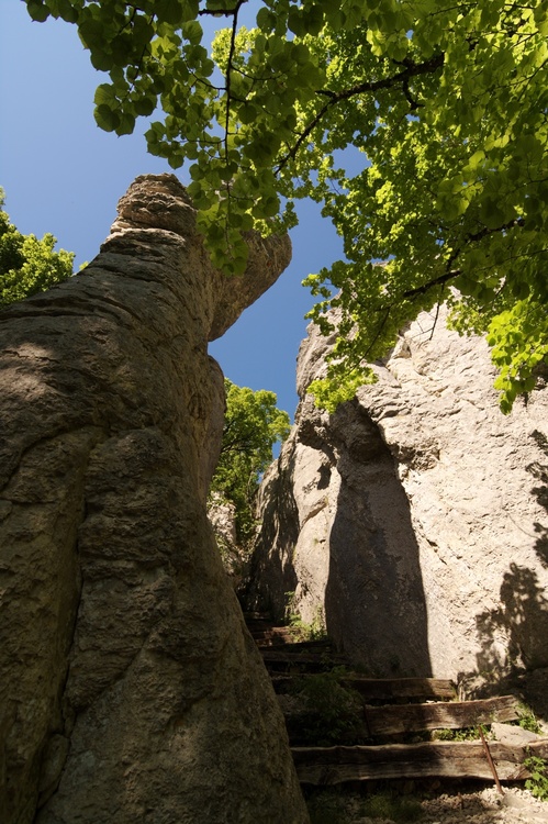 Combe d'Arvaux