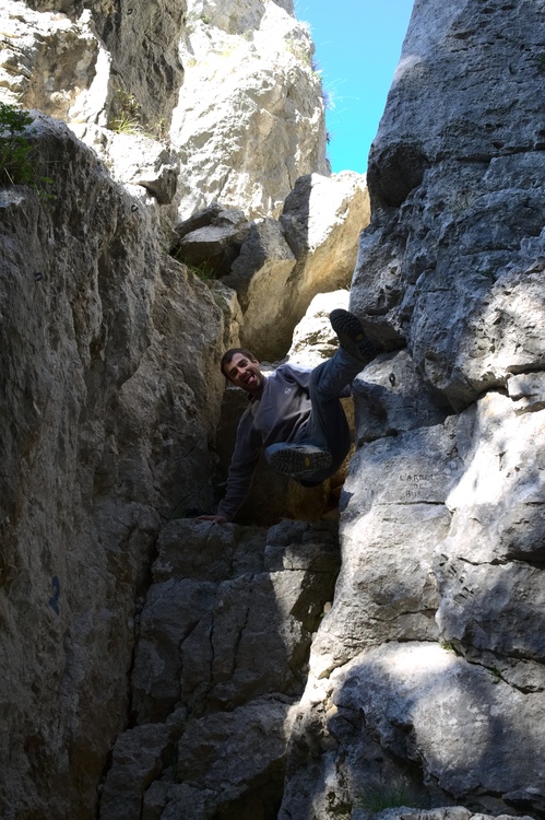 Falaise