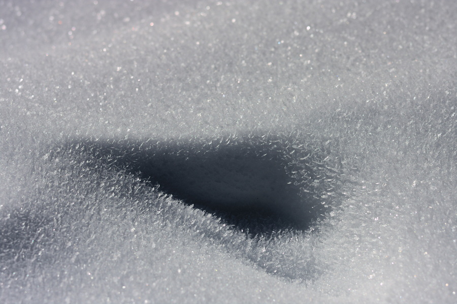 Neige