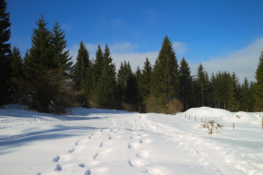 Paysage
