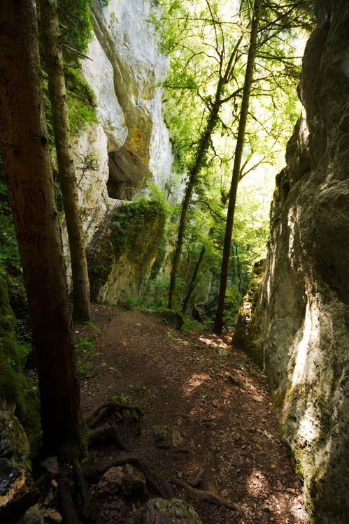 Grotte des Faux-Monnayeurs