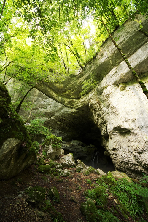 Source du Pontet