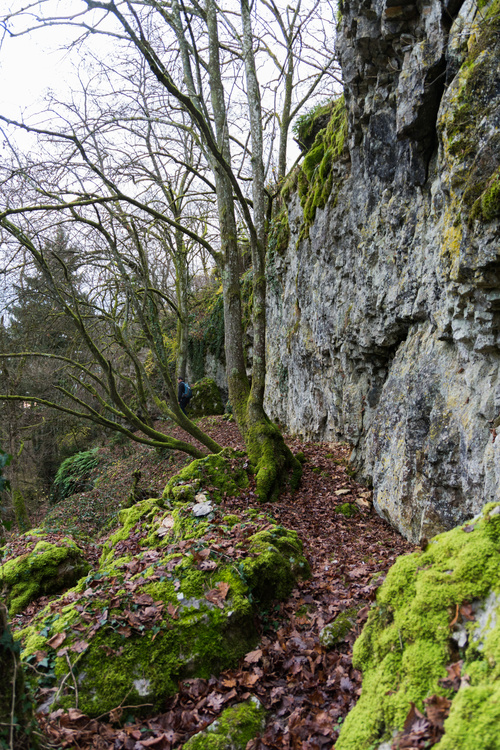 Falaise