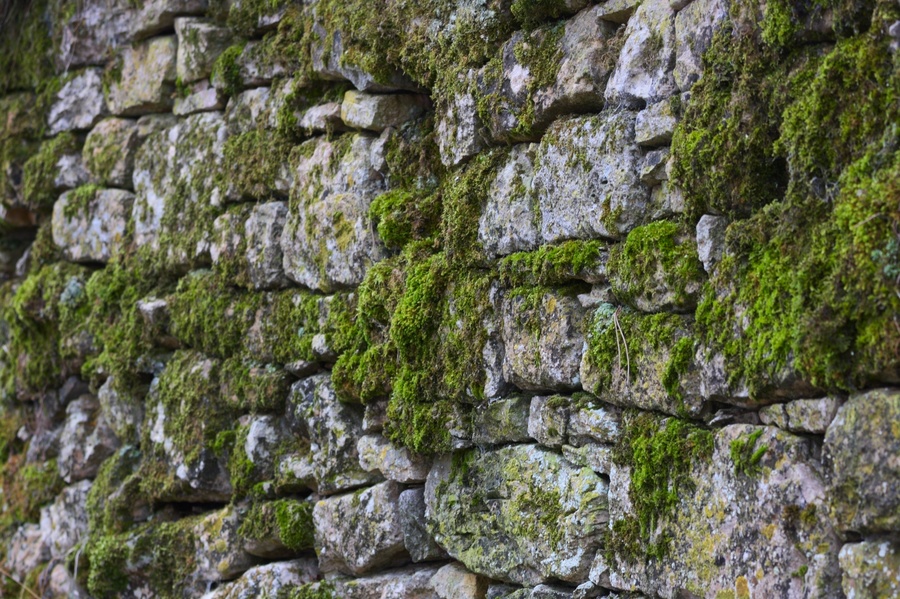 Mur