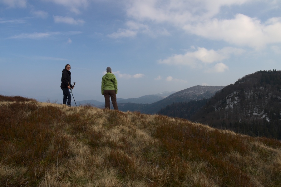 Chaume des Neufs Bois