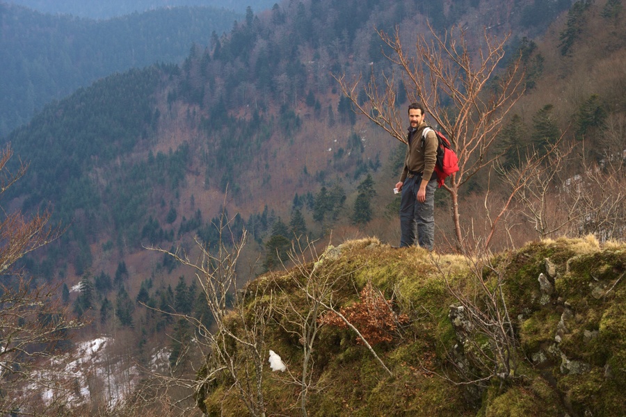 Chaume des Neufs Bois