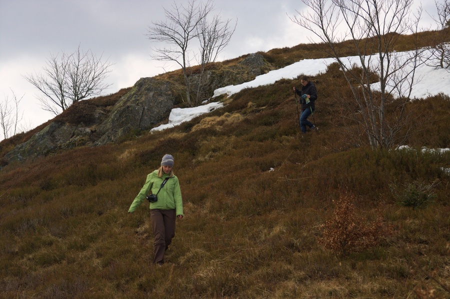 Chaume des Neufs Bois