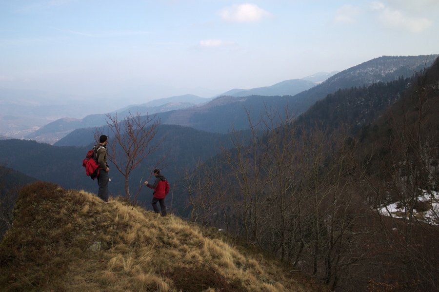 Chaume des Neufs Bois