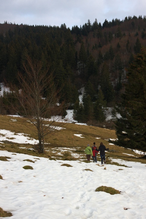 Retour vers Rouge Gazon