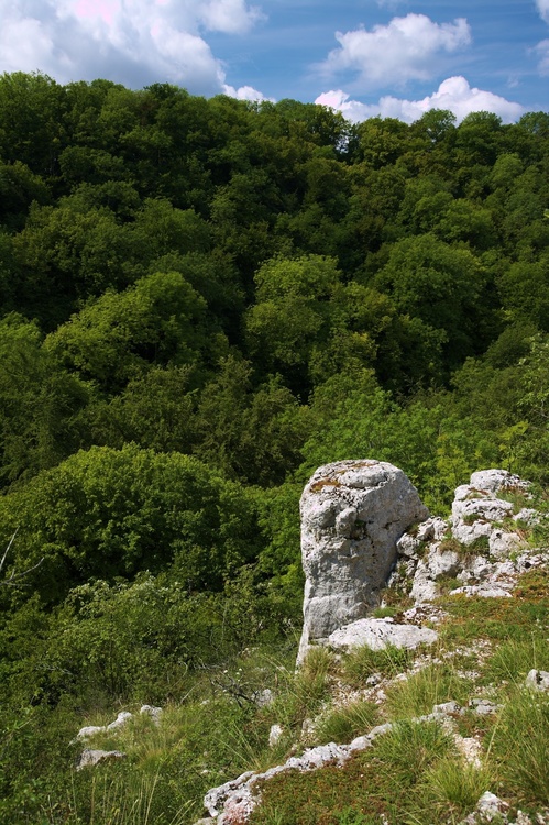 Combe Reveney
