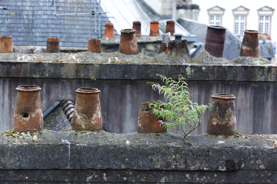 Morlaix