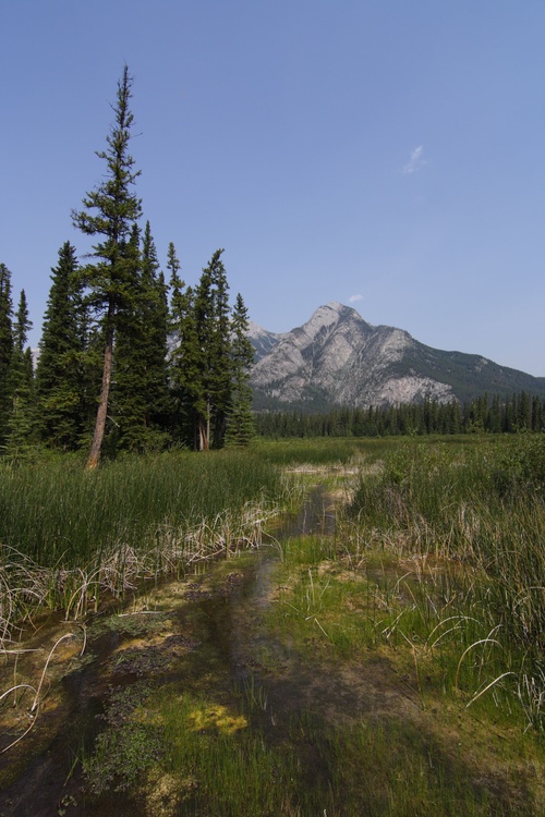 Source chaude de Banff