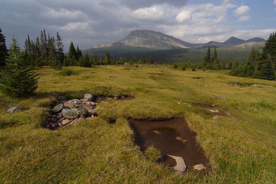 Marais Tonquin