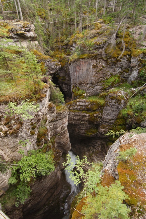 Maligne Canyon