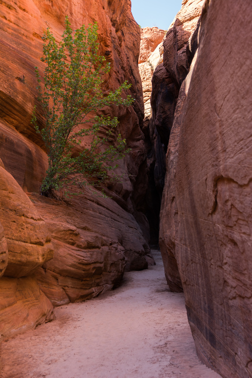 Buckskin Gulch