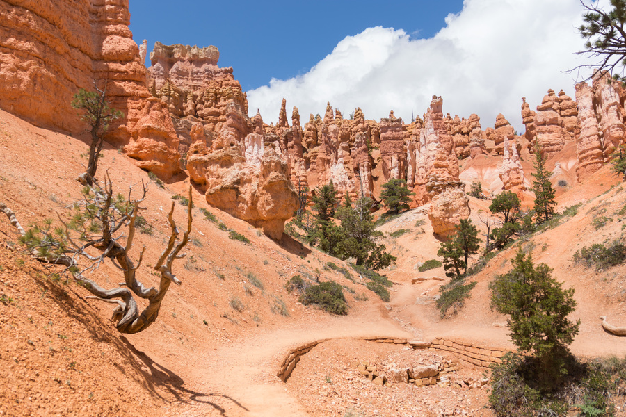 Bryce Canyon