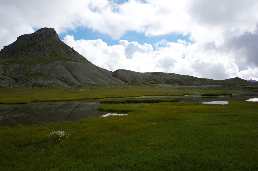 Lac de Lignin