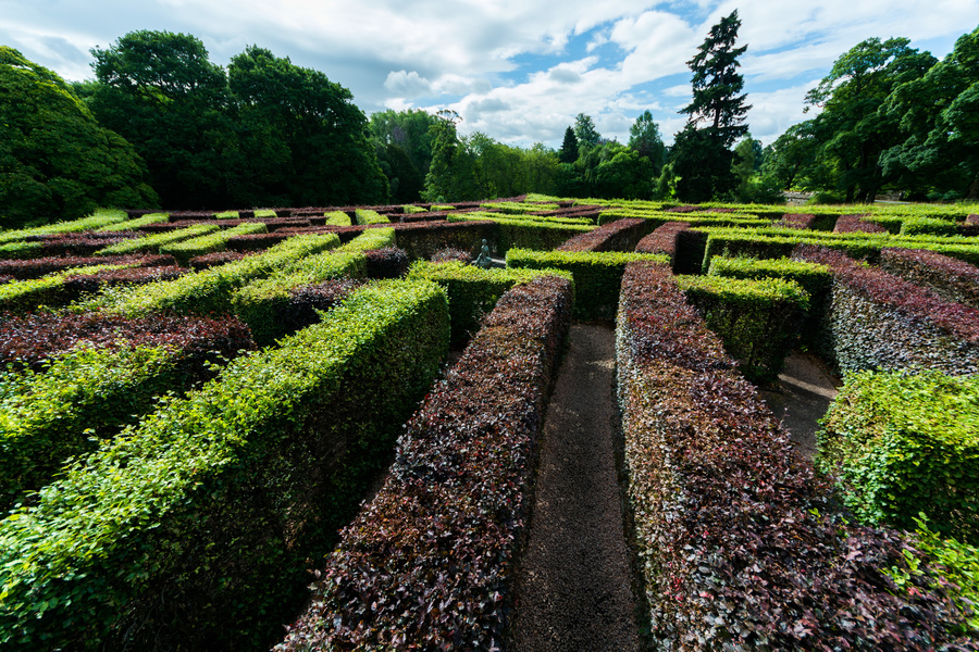 Murray Star Maze