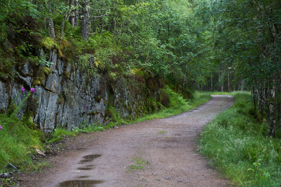 Glen Affric