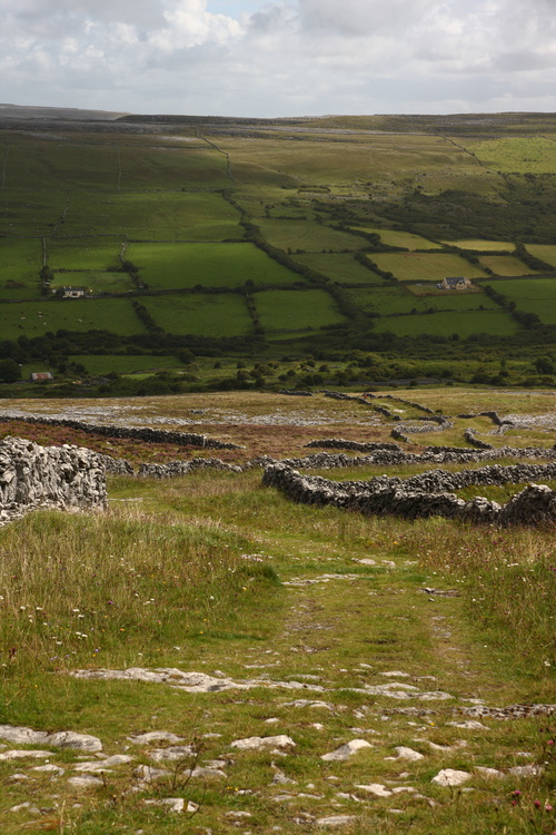 Burren way