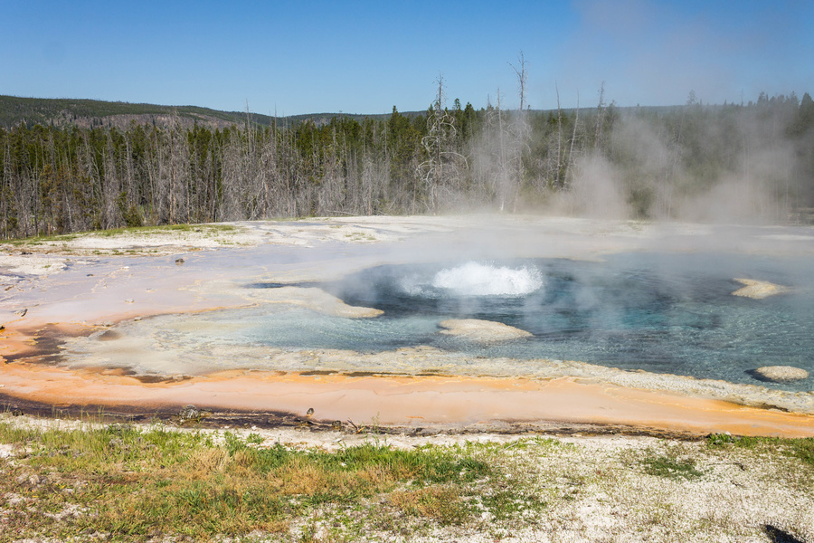 Solitary Geyser