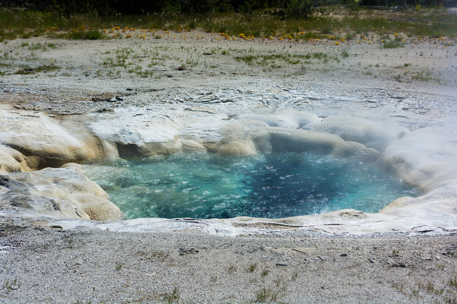 Spasmodic Geyser